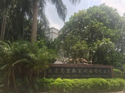 祝東莞高豐木業(yè)制品有限公司通過(guò)BV  BSCI、FCCA、SCS驗(yàn)廠